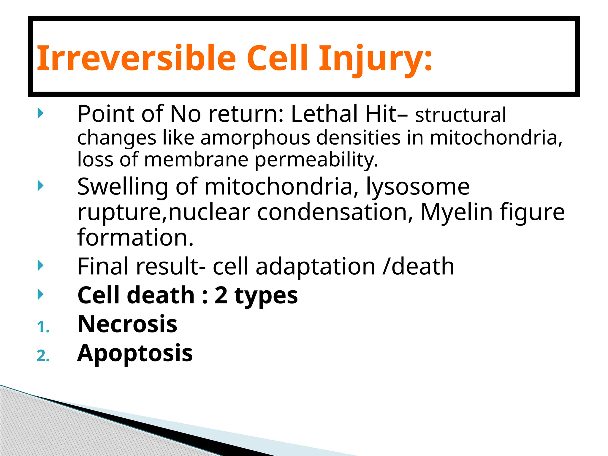 Irreversible Cell Injury:
 Point of No return: Lethal Hit– structural
changes like amorphous densities in mitochondria,
loss of membrane permeability.
 Swelling of mitochondria, lysosome
rupture,nuclear condensation, Myelin figure
formation.
 Final result- cell adaptation /death
 Cell death : 2 types
1. Necrosis
2. Apoptosis
 