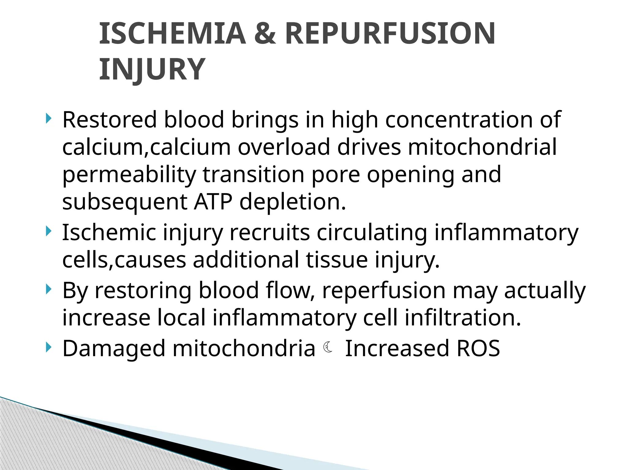  Restored blood brings in high concentration of
calcium,calcium overload drives mitochondrial
permeability transition pore opening and
subsequent ATP depletion.
 Ischemic injury recruits circulating inflammatory
cells,causes additional tissue injury.
 By restoring blood flow, reperfusion may actually
increase local inflammatory cell infiltration.
 Damaged mitochondria Increased ROS
ISCHEMIA & REPURFUSION
INJURY
 