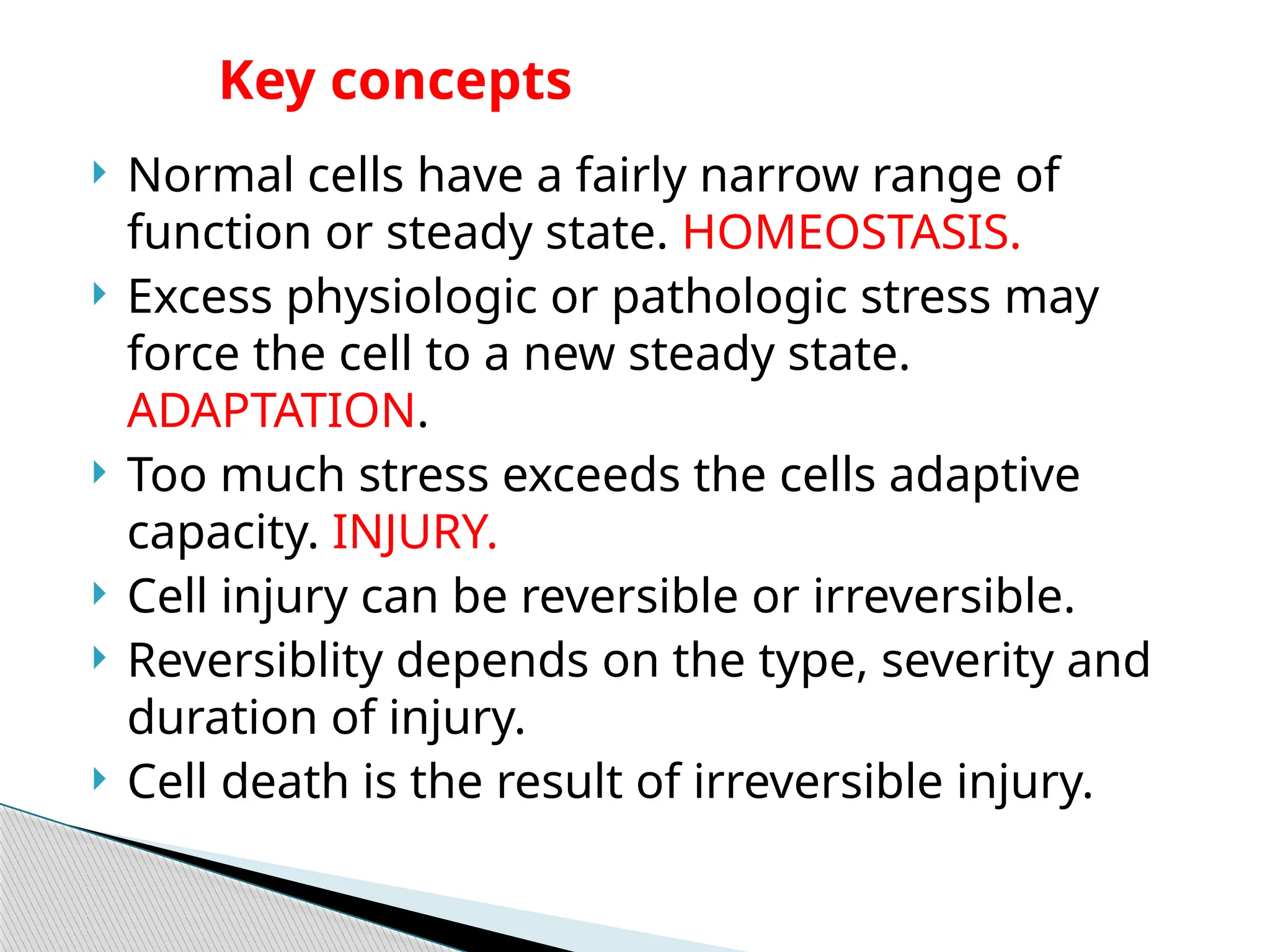  Normal cells have a fairly narrow range of
function or steady state. HOMEOSTASIS.
 Excess physiologic or pathologic stress may
force the cell to a new steady state.
ADAPTATION.
 Too much stress exceeds the cells adaptive
capacity. INJURY.
 Cell injury can be reversible or irreversible.
 Reversiblity depends on the type, severity and
duration of injury.
 Cell death is the result of irreversible injury.
Key concepts
 