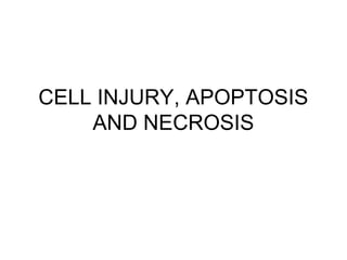 CELL INJURY, APOPTOSIS
AND NECROSIS
 