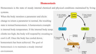 Cell injury bkg.pptx Bulet kumar gupta Pathophysiology | PPTX