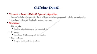 cell injury By Ihsan kmu,Educational Platform.pptx