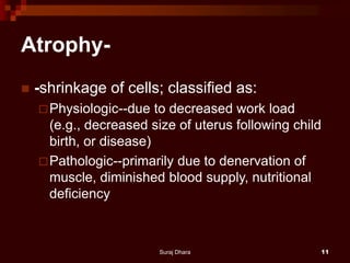 Atrophy-
 -shrinkage of cells; classified as:
Physiologic--due to decreased work load
(e.g., decreased size of uterus following child
birth, or disease)
Pathologic--primarily due to denervation of
muscle, diminished blood supply, nutritional
deficiency
Suraj Dhara 11
 