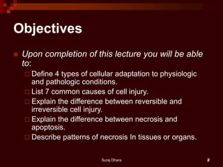 Objectives
 Upon completion of this lecture you will be able
to:
 Define 4 types of cellular adaptation to physiologic
and pathologic conditions.
 List 7 common causes of cell injury.
 Explain the difference between reversible and
irreversible cell injury.
 Explain the difference between necrosis and
apoptosis.
 Describe patterns of necrosis In tissues or organs.
Suraj Dhara 2
 