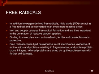 FREE RADICALS
 In addition to oxygen-derived free radicals, nitric oxide (NO) can act as
a free radical and be converted to an even more reactive anion.
 Iron and copper catalyze free radical formation and are thus important
in the generation of reactive oxygen species.
 Binding to molecules such as transferrin, ferritin and ceruloplasmin is
protective.
 Free radicals cause lipid peroxidation in cell membranes, oxidation of
amino acids and proteins resulting in fragmentation, and protein-protein
cross linkages. Altered proteins are acted on by the proteosomes with
further cell damage.
Suraj Dhara 23
 