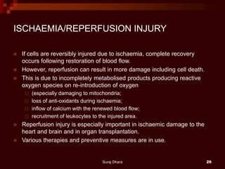 ISCHAEMIA/REPERFUSION INJURY
 If cells are reversibly injured due to ischaemia, complete recovery
occurs following restoration of blood flow.
 However, reperfusion can result in more damage including cell death.
 This is due to incompletely metabolised products producing reactive
oxygen species on re-introduction of oxygen
 (especially damaging to mitochondria;
 loss of anti-oxidants during ischaemia;
 inflow of calcium with the renewed blood flow;
 recruitment of leukocytes to the injured area.
 Reperfusion injury is especially important in ischaemic damage to the
heart and brain and in organ transplantation.
 Various therapies and preventive measures are in use.
Suraj Dhara 26
 