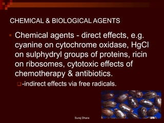 CHEMICAL & BIOLOGICAL AGENTS
 Chemical agents - direct effects, e.g.
cyanine on cytochrome oxidase, HgCl
on sulphydryl groups of proteins, ricin
on ribosomes, cytotoxic effects of
chemotherapy & antibiotics.
-indirect effects via free radicals.
Suraj Dhara 29
 