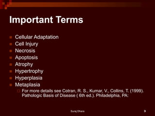 Important Terms
 Cellular Adaptation
 Cell Injury
 Necrosis
 Apoptosis
 Atrophy
 Hypertrophy
 Hyperplasia
 Metaplasia
 For more details see Cotran, R. S., Kumar, V., Collins, T. (1999).
Pathologic Basis of Disease ( 6th ed.). Philadelphia, PA:
Suraj Dhara 3
 