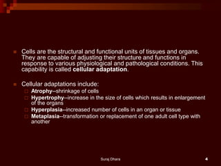  Cells are the structural and functional units of tissues and organs.
They are capable of adjusting their structure and functions in
response to various physiological and pathological conditions. This
capability is called cellular adaptation.
 Cellular adaptations include:
 Atrophy--shrinkage of cells
 Hypertrophy--increase in the size of cells which results in enlargement
of the organs
 Hyperplasia--increased number of cells in an organ or tissue
 Metaplasia--transformation or replacement of one adult cell type with
another
Suraj Dhara 4
 
