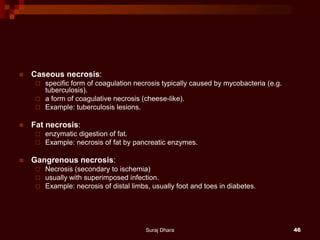  Caseous necrosis:
 specific form of coagulation necrosis typically caused by mycobacteria (e.g.
tuberculosis).
 a form of coagulative necrosis (cheese-like).
 Example: tuberculosis lesions.
 Fat necrosis:
 enzymatic digestion of fat.
 Example: necrosis of fat by pancreatic enzymes.
 Gangrenous necrosis:
 Necrosis (secondary to ischemia)
 usually with superimposed infection.
 Example: necrosis of distal limbs, usually foot and toes in diabetes.
Suraj Dhara 46
 
