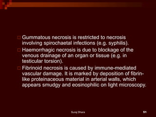  Gummatous necrosis is restricted to necrosis
involving spirochaetal infections (e.g. syphilis).
 Haemorrhagic necrosis is due to blockage of the
venous drainage of an organ or tissue (e.g. in
testicular torsion).
 Fibrinoid necrosis is caused by immune-mediated
vascular damage. It is marked by deposition of fibrin-
like proteinaceous material in arterial walls, which
appears smudgy and eosinophilic on light microscopy.
Suraj Dhara 51
 