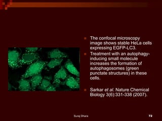  The confocal microscopy
image shows stable HeLa cells
expressing EGFP-LC3.
 Treatment with an autophagy-
inducing small molecule
increases the formation of
autophagosomes (green
punctate structures) in these
cells.
 Sarkar et al. Nature Chemical
Biology 3(6):331-338 (2007).
Suraj Dhara 72
 