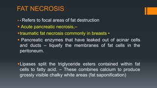 Cell injury cell swelling necrosis fatty change | PPTX