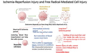 Cell_Injury_etiology and Pathophysiology.pptx