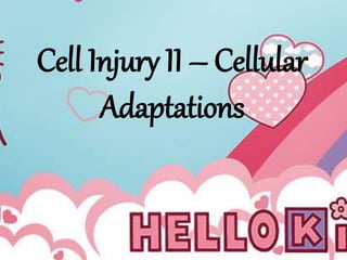 Cell Injury II – Cellular
Adaptations
 
