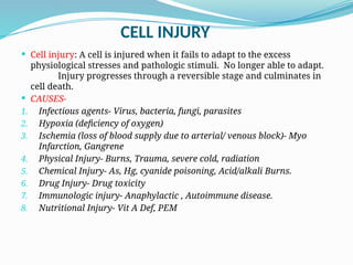 Cell Injury: overview, causes, types, mechanism | PPTX