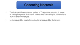 Noncaseating Necrosis CELL INJURY | PPTX