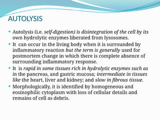 Comprehensive Overview of Cell Injury: Causes, Pathogenesis, and ...