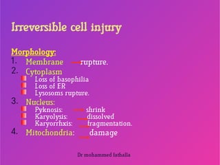 Comprehensive Overview of Cell Injury in General Pathology by Dr ...