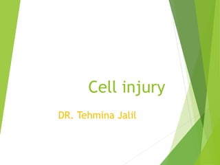 Cell injury
DR. Tehmina Jalil
 