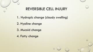 REVERSIBLE CELL INJURY
1. Hydropic change (cloudy swelling)
2. Hyaline change
3. Mucoid change
4. Fatty change
 