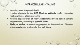 INTRACELLULAR HYALINE
• Its mainly seen in epithelial cells.
• Hyaline droplets in the PCT Nephron epithelial cells: excessive
reabsorption of plasma proteins.
• Hyaline degeneration of rectus abdominis muscle called Zenker’s
degeneration, occurring in typhoid fever.
• Mallory’s hyaline represents aggregates of intermediate filaments
in the hepatocytes in alcoholic liver cell injury.
 