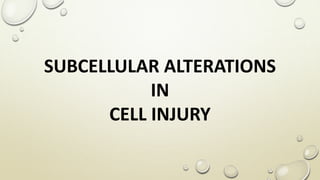SUBCELLULAR ALTERATIONS
IN
CELL INJURY
 
