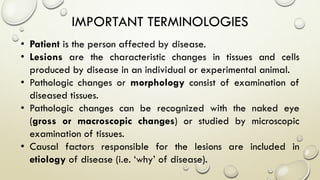 IMPORTANT TERMINOLOGIES
• Patient is the person affected by disease.
• Lesions are the characteristic changes in tissues and cells
produced by disease in an individual or experimental animal.
• Pathologic changes or morphology consist of examination of
diseased tissues.
• Pathologic changes can be recognized with the naked eye
(gross or macroscopic changes) or studied by microscopic
examination of tissues.
• Causal factors responsible for the lesions are included in
etiology of disease (i.e. ‘why’ of disease).
 