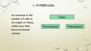 1. HYPERPLASIA
An increase in the
number of cells in
an organ or tissue,
which may then
have increased
volume.
Types
Physiological Pathological
 