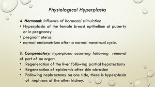 A. Hormonal: Influence of hormonal stimulation
• Hyperplasia of the female breast epithelium at puberty
or in pregnancy
• pregnant uterus
• normal endometrium after a normal menstrual cycle.
B. Compensatory: hyperplasia occurring following removal
of part of an organ
• Regeneration of the liver following partial hepatectomy
• Regeneration of epidermis after skin abrasion
• Following nephrectomy on one side, there is hyperplasia
of nephrons of the other kidney.
Physiological Hyperplasia
 