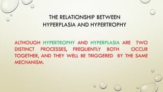 THE RELATIONSHIP BETWEEN
HYPERPLASIA AND HYPERTROPHY
ALTHOUGH HYPERTROPHY AND HYPERPLASIA ARE TWO
DISTINCT PROCESSES, FREQUENTLY BOTH OCCUR
TOGETHER, AND THEY WELL BE TRIGGERED BY THE SAME
MECHANISM.
 
