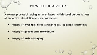 PHYSIOLOGIC ATROPHY
A normal process of aging in some tissues, which could be due to loss
of endocrine stimulation or arteriosclerosis.
• Atrophy of lymphoid tissue in lymph nodes, appendix and thymus.
• Atrophy of gonads after menopause.
• Atrophy of brain with aging.
 