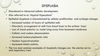 DYSPLASIA
• Disordered or Abnormal cellular development.
• Also referred to as ‘Atypical Hyperplasia'
• Epithelial dysplasia is characterised by cellular proliferation and cytologic changes
– Increased number of layers of epithelial cells
– Disorderly arrangement of cells from basal layer to the surface layer
– Loss of basal polarity i.e. nuclei lying away from basement membrane
– Cellular and nuclear pleomorphism
– Increased nucleocytoplasmic ratio
– Nuclear hyperchromatism
– Increased mitotic activity.
• The two most common examples of dysplastic changes are the uterine cervix
and respiratory tract
 