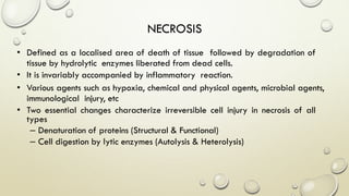 NECROSIS
• Defined as a localised area of death of tissue followed by degradation of
tissue by hydrolytic enzymes liberated from dead cells.
• It is invariably accompanied by inflammatory reaction.
• Various agents such as hypoxia, chemical and physical agents, microbial agents,
immunological injury, etc
• Two essential changes characterize irreversible cell injury in necrosis of all
types
– Denaturation of proteins (Structural & Functional)
– Cell digestion by lytic enzymes (Autolysis & Heterolysis)
 