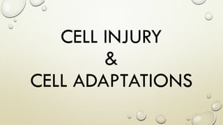 CELL INJURY
&
CELL ADAPTATIONS
 