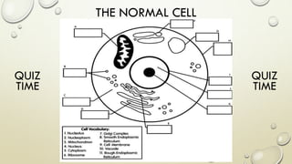 THE NORMAL CELL
QUIZ
TIME
QUIZ
TIME
 