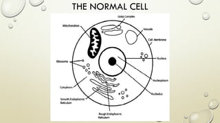 THE NORMAL CELL
 
