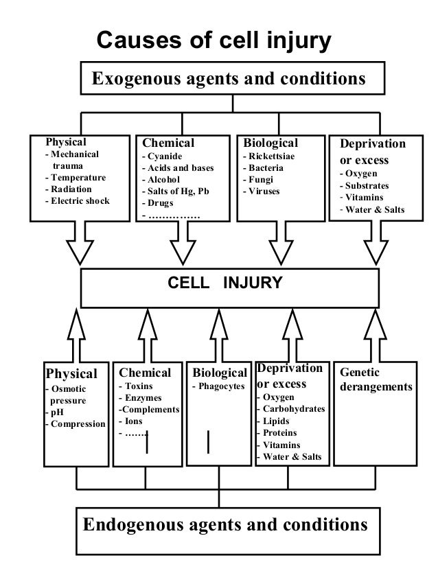 Cell injury