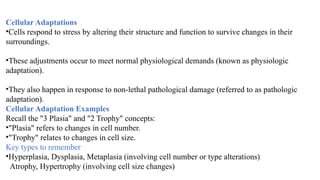 Comprehensive Overview of Cell Injury and Cellular Adaptation ...