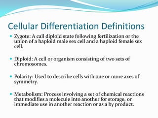 Cellular Differentiation DefinitionsZygote: A call diploid state following fertilization or the union of a haploid male sex cell and a haploid female sex cell.Diploid: A cell or organism consisting of two sets of chromosomes.Polarity: Used to describe cells with one or more axes of symmetry. Metabolism: Process involving a set of chemical reactions that modifies a molecule into another for storage, or immediate use in another reaction or as a by product.