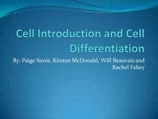 Cell Introduction and Cell Differentiation  By: Paige Sirois, Kirsten McDonald, Will Beauvais and            Rachel Fahey 