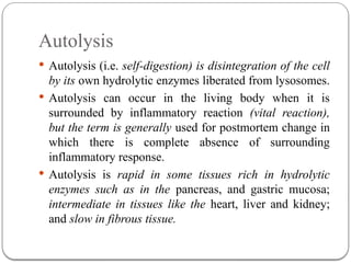 Comprehensive Overview of Cell Injury and Adaptation Mechanisms in ...