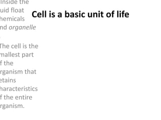 Cell is a basic unit of life
Inside the
uid float
hemicals
nd organelle
.
The cell is the
mallest part
f the
rganism that
etains
haracteristics
f the entire
rganism.
 