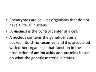 • Prokaryotes are cellular organisms that do not
have a “true” nucleus.
• A nucleus is the control center of a cell.
• A nucleus contains the genetic material
packed into chromosomes, and it is associated
with other organelles that function in the
production of amino acids and proteins based
on what the genetic material dictates.
 