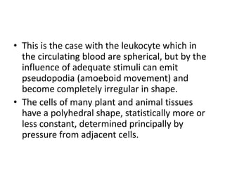 • This is the case with the leukocyte which in
the circulating blood are spherical, but by the
influence of adequate stimuli can emit
pseudopodia (amoeboid movement) and
become completely irregular in shape.
• The cells of many plant and animal tissues
have a polyhedral shape, statistically more or
less constant, determined principally by
pressure from adjacent cells.
 