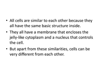 • All cells are similar to each other because they
all have the same basic structure inside.
• They all have a membrane that encloses the
jelly-like cytoplasm and a nucleus that controls
the cell.
• But apart from these similarities, cells can be
very different from each other.
 