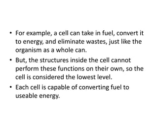 • For example, a cell can take in fuel, convert it
to energy, and eliminate wastes, just like the
organism as a whole can.
• But, the structures inside the cell cannot
perform these functions on their own, so the
cell is considered the lowest level.
• Each cell is capable of converting fuel to
useable energy.
 