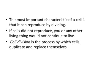 • The most important characteristic of a cell is
that it can reproduce by dividing.
• If cells did not reproduce, you or any other
living thing would not continue to live.
• Cell division is the process by which cells
duplicate and replace themselves.
 
