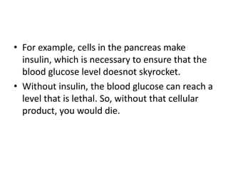 • For example, cells in the pancreas make
insulin, which is necessary to ensure that the
blood glucose level doesnot skyrocket.
• Without insulin, the blood glucose can reach a
level that is lethal. So, without that cellular
product, you would die.
 