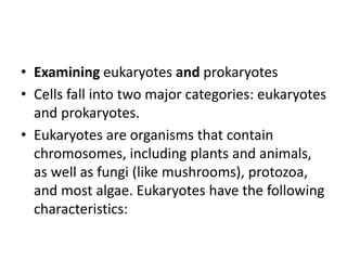 • Examining eukaryotes and prokaryotes
• Cells fall into two major categories: eukaryotes
and prokaryotes.
• Eukaryotes are organisms that contain
chromosomes, including plants and animals,
as well as fungi (like mushrooms), protozoa,
and most algae. Eukaryotes have the following
characteristics:
 